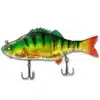 Perch Scam