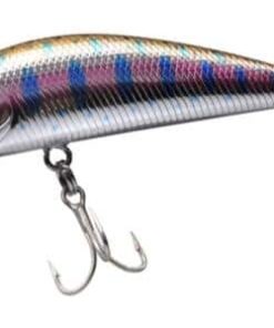 minnow